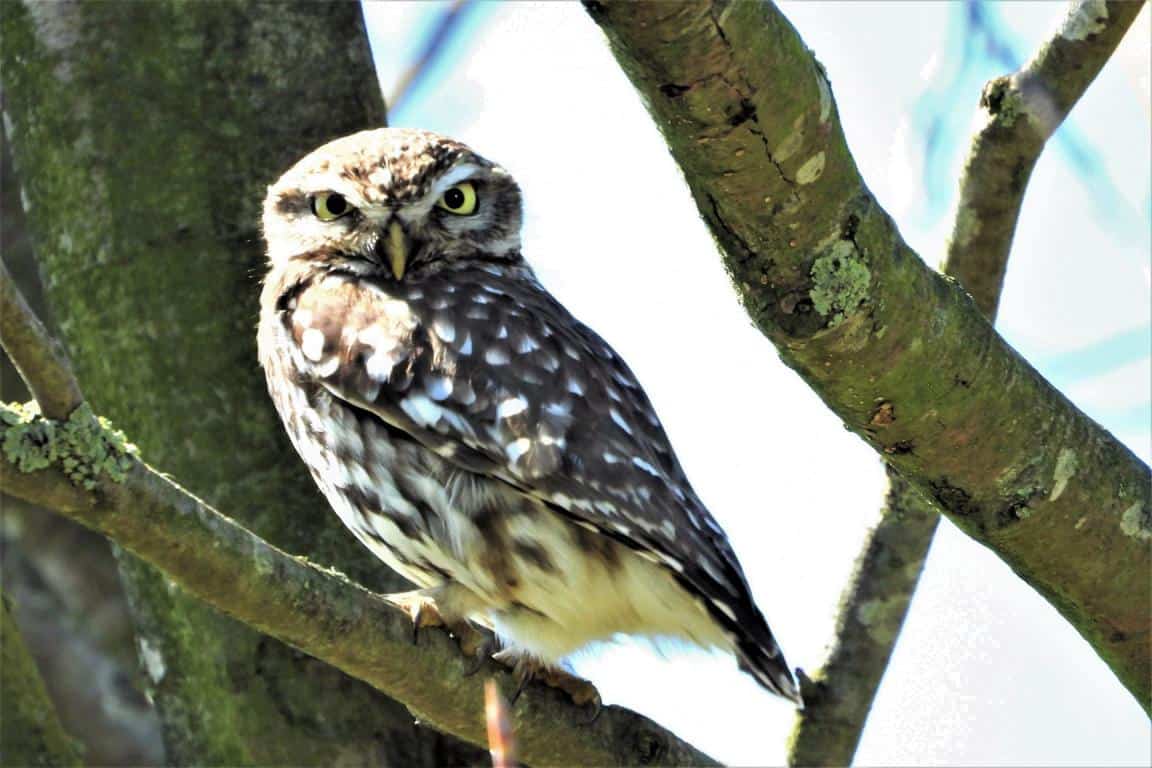 mini_178187482_897776177437715_3040411123891009293_n