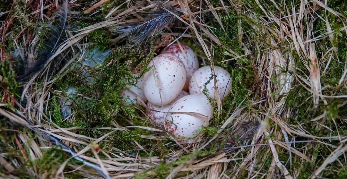 437528373_3685427915041252_6624886457964189863_n