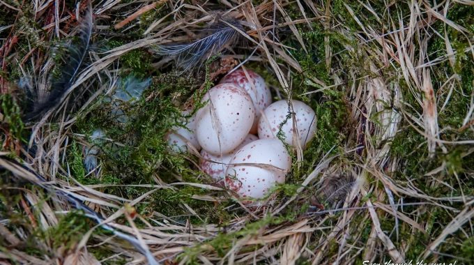 437528373_3685427915041252_6624886457964189863_n